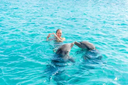 Dolphin-Academy-13